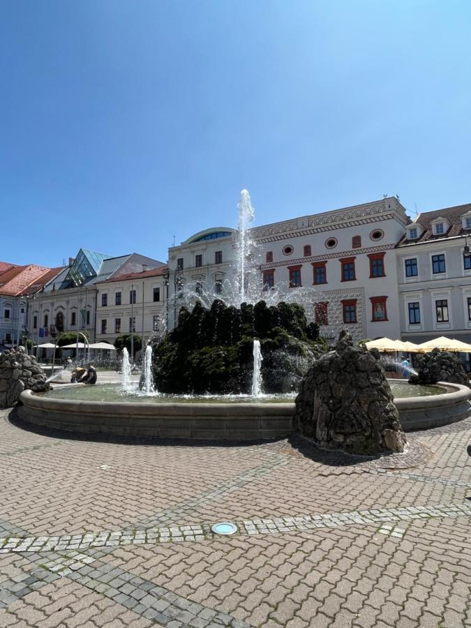 Apartman Viki Банска-Бистрица Экстерьер фото